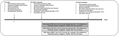 Effect of a High Fat Diet vs. High Carbohydrate Diets With Different Glycemic Indices on Metabolic Parameters in Male Endurance Athletes: A Pilot Trial